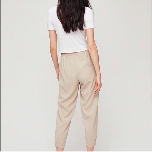 Aritzia babaton dexter pant -microchip color - Picture 3 of 4